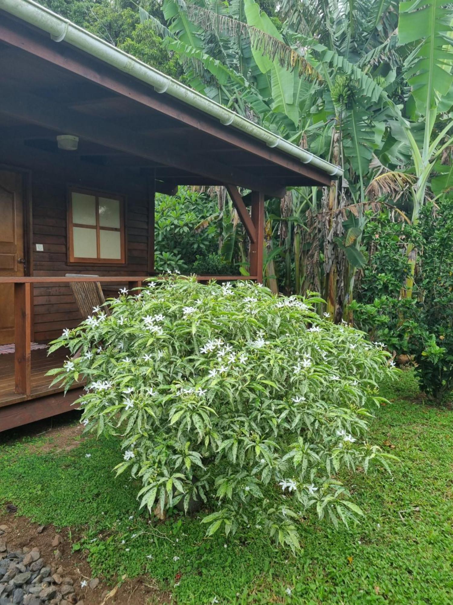 Painapaopao Backpacker Hostel โมโอเรอา ภายนอก รูปภาพ